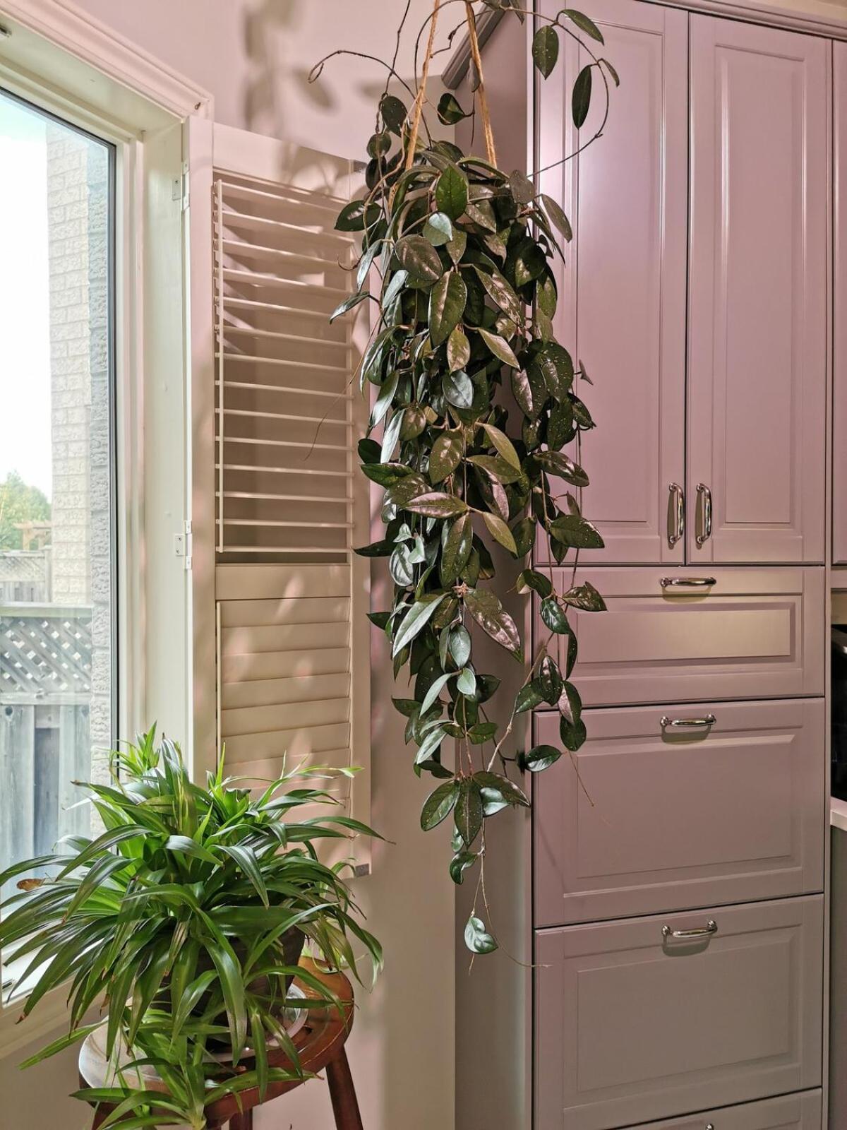 4 Bedroom 3 Washroom Charming Home In Markham With Warm Cozy Vibe Exteriör bild